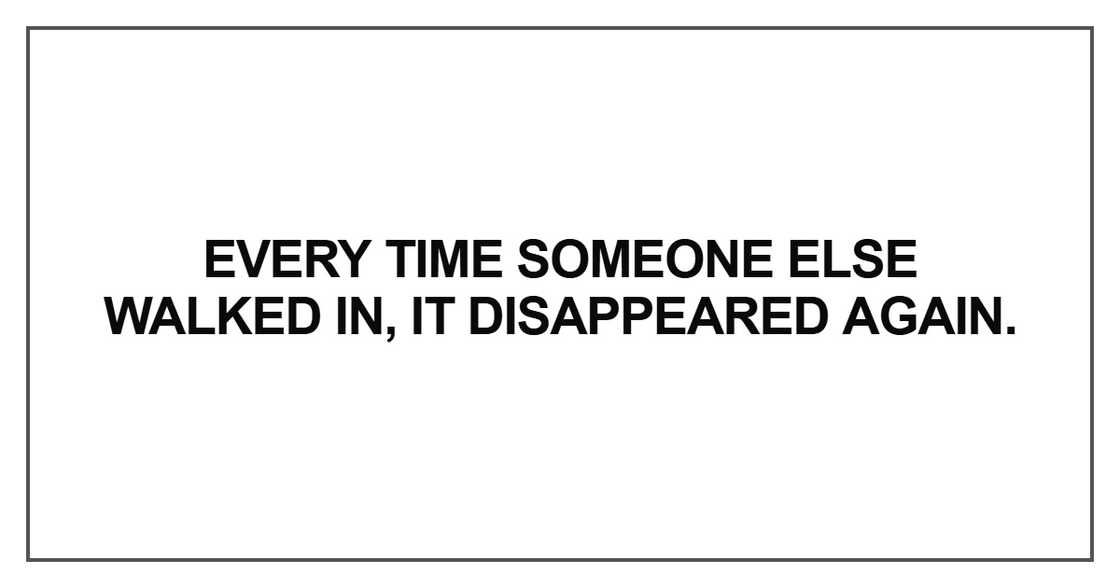 Every time someone else walked in, it disappeared again Every time someone else walked in, it disappeared again