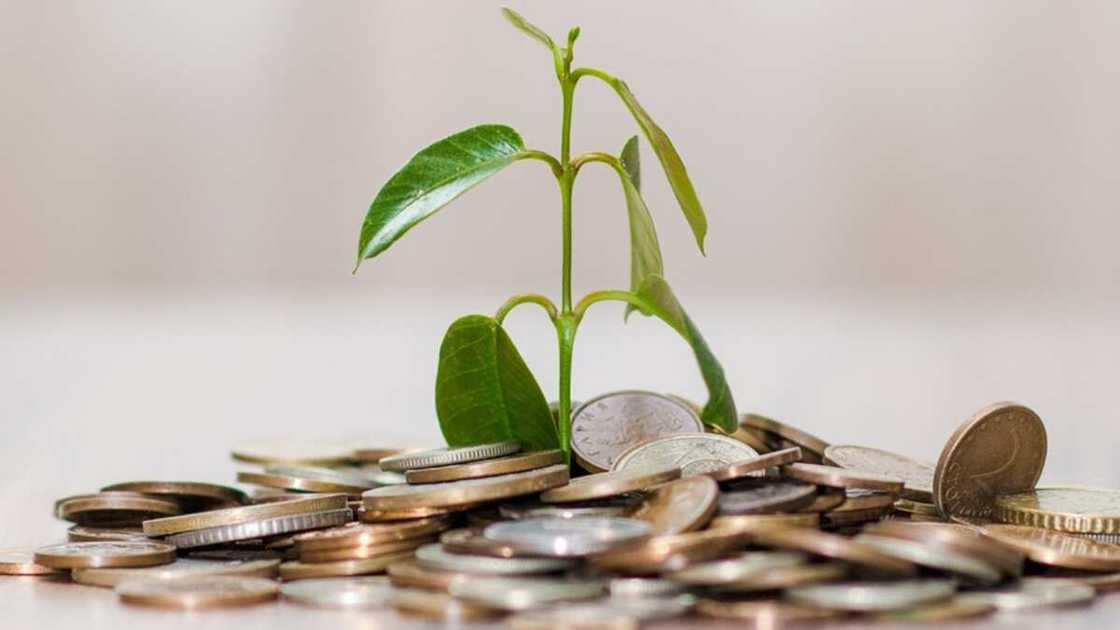 Structural Adjustment Programme in Nigeria Structural Adjustment Programme in Nigeria