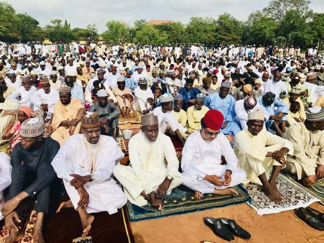 Shehu Sani Shehu Sani