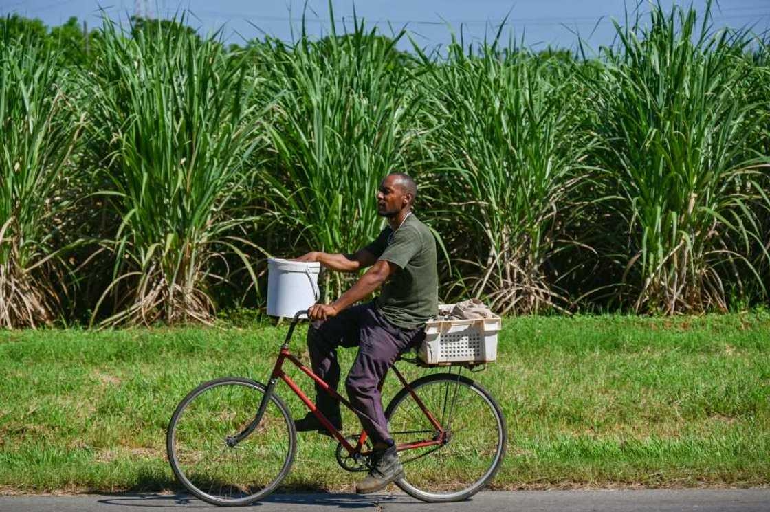 Since the coronavirus pandemic, which hit its tourism sector hard, Cuba has experienced its worst economic crisis since the 1990s Since the coronavirus pandemic, which hit its tourism sector hard, Cuba has experienced its worst economic crisis since the 1990s