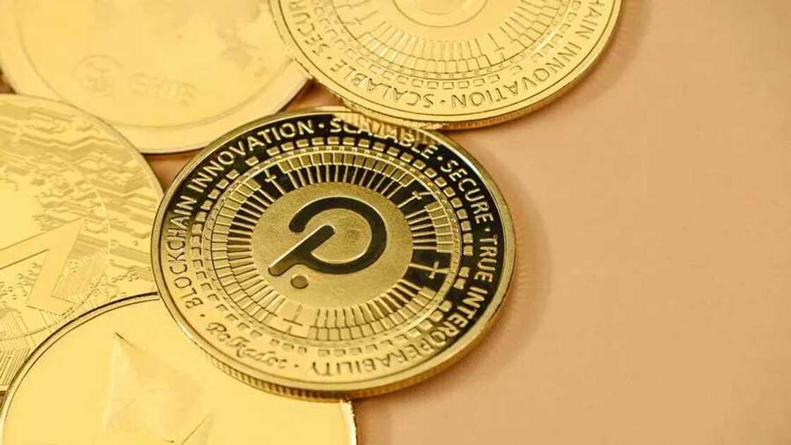 BDAG Dashboard Ranks, Avalanche Price & Polkadot Updates BDAG Dashboard Ranks, Avalanche Price & Polkadot Updates