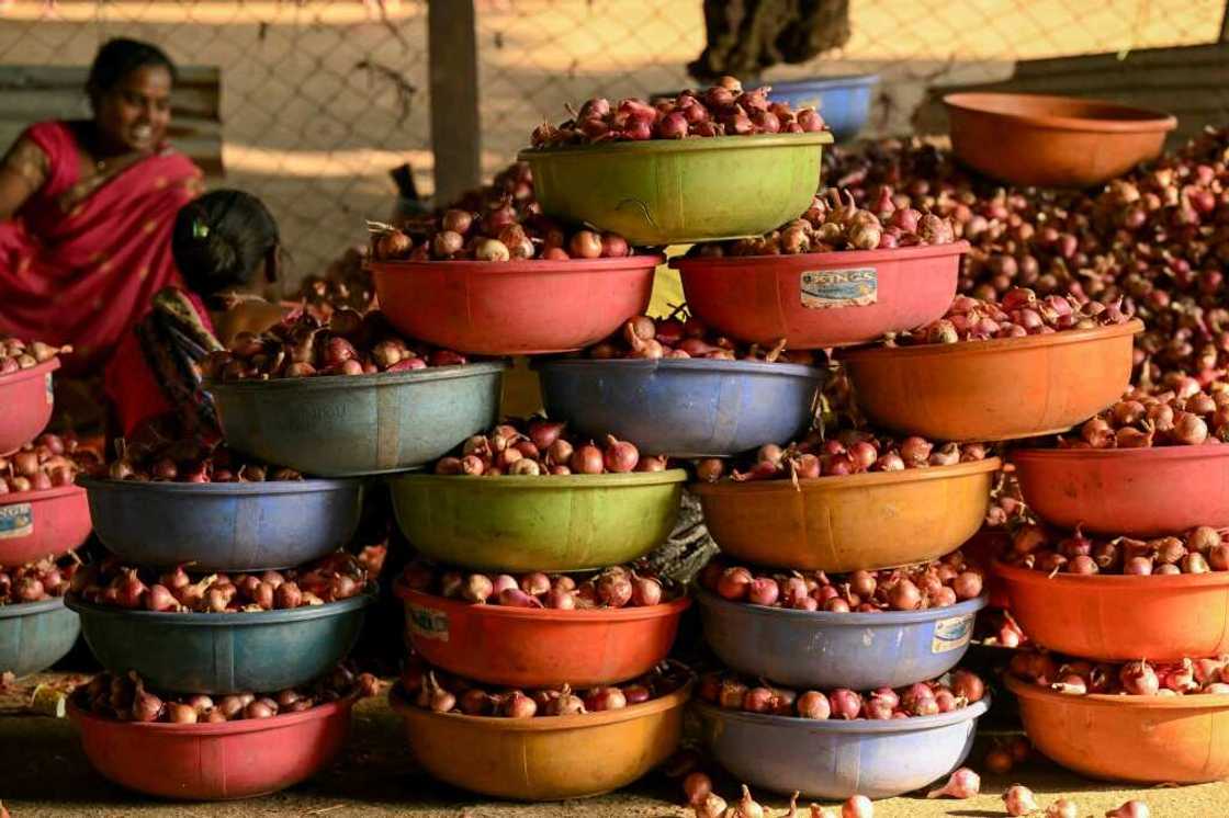 Indian onion farmers complain that their livelihoods are being hurt by politicians' moves to keep prices down for consumers Indian onion farmers complain that their livelihoods are being hurt by politicians' moves to keep prices down for consumers