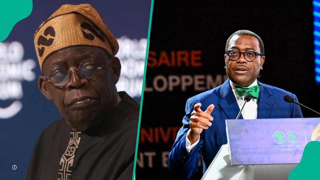 Akinwumi Adesina, AfDB President urges President TInubu and others to invest in manufacturing Akinwumi Adesina, AfDB President urges President TInubu and others to invest in manufacturing