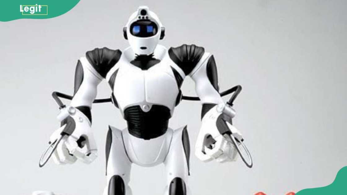 Robot toys from the 2000s sales