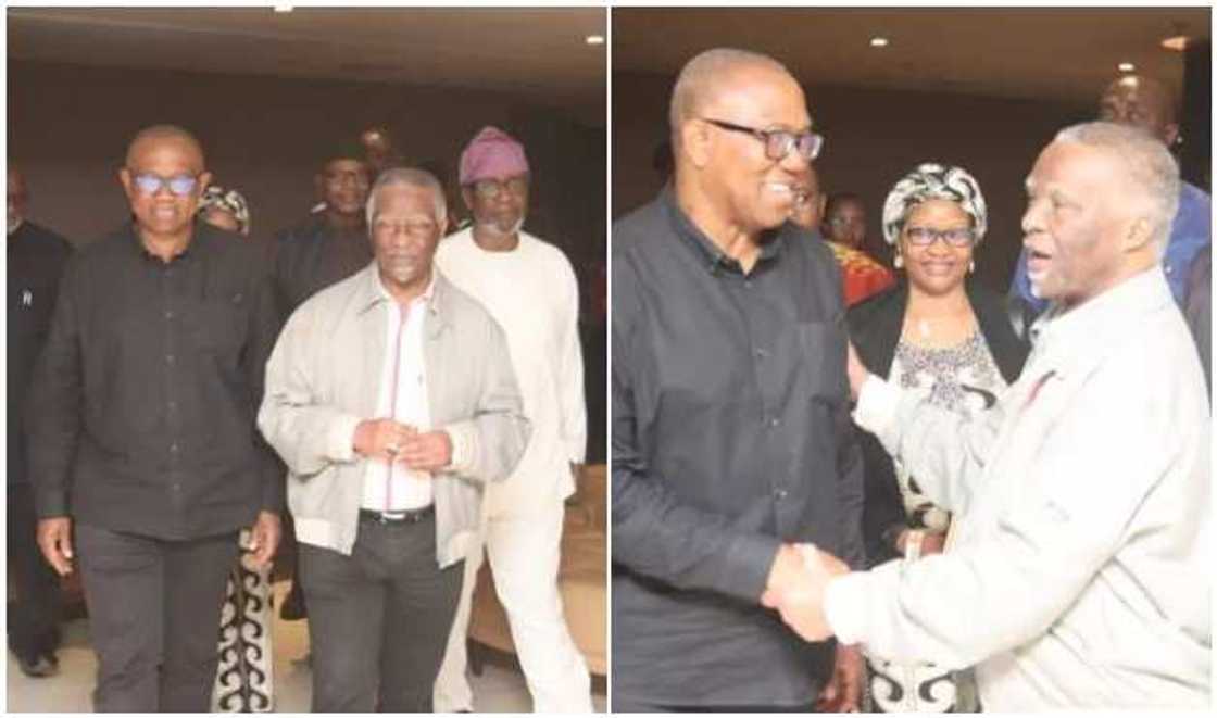 Peter Obi, Thabo Mbeki