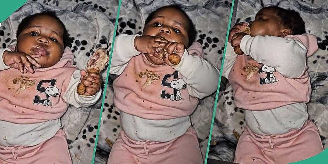 Little girl devours chicken