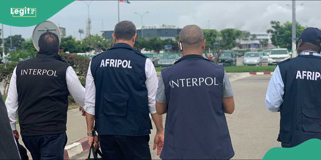 INTERPOL ta yi kame a jihar Kano