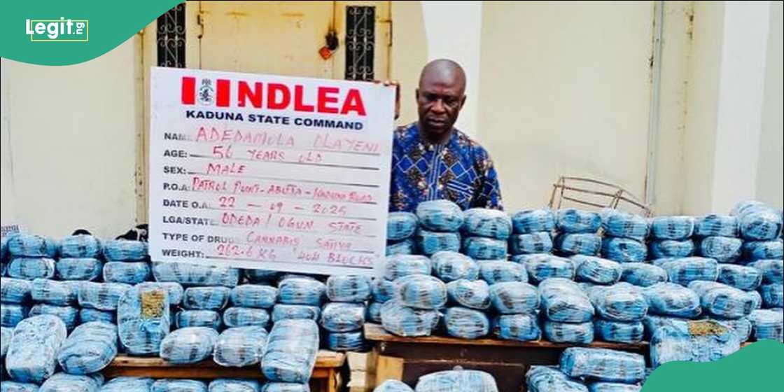 Seized tramadol pills discovered inside a Mercedes Benz engine compartment in Borno. Seized tramadol pills discovered inside a Mercedes Benz engine compartment in Borno.
