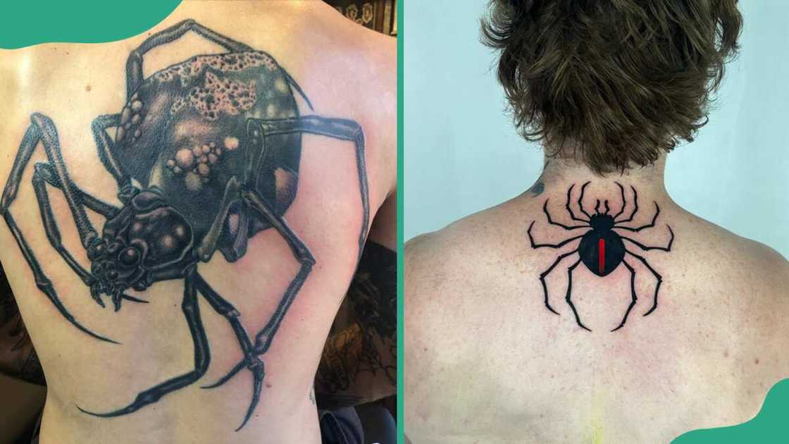 Back spider tattoos Back spider tattoos