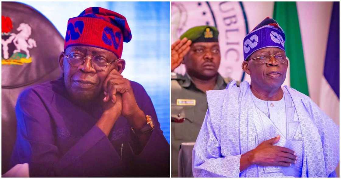 Tinubu's palliative committee/ Tinubu speaks on palliative/ palliative committee/ Palliative on fuel subsidy Tinubu's palliative committee/ Tinubu speaks on palliative/ palliative committee/ Palliative on fuel subsidy