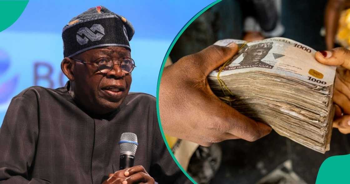 Nigerians to get loan from National Credit Guarantee System Nigerians to get loan from National Credit Guarantee System