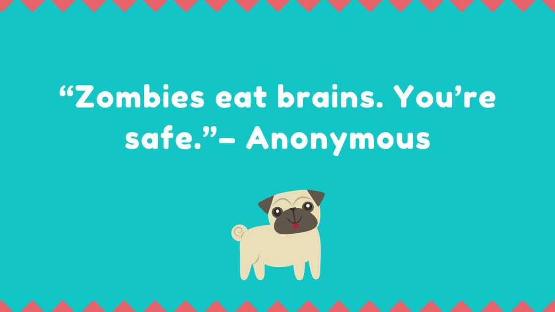 Sarcastic quotes about friends Sarcastic quotes about friends