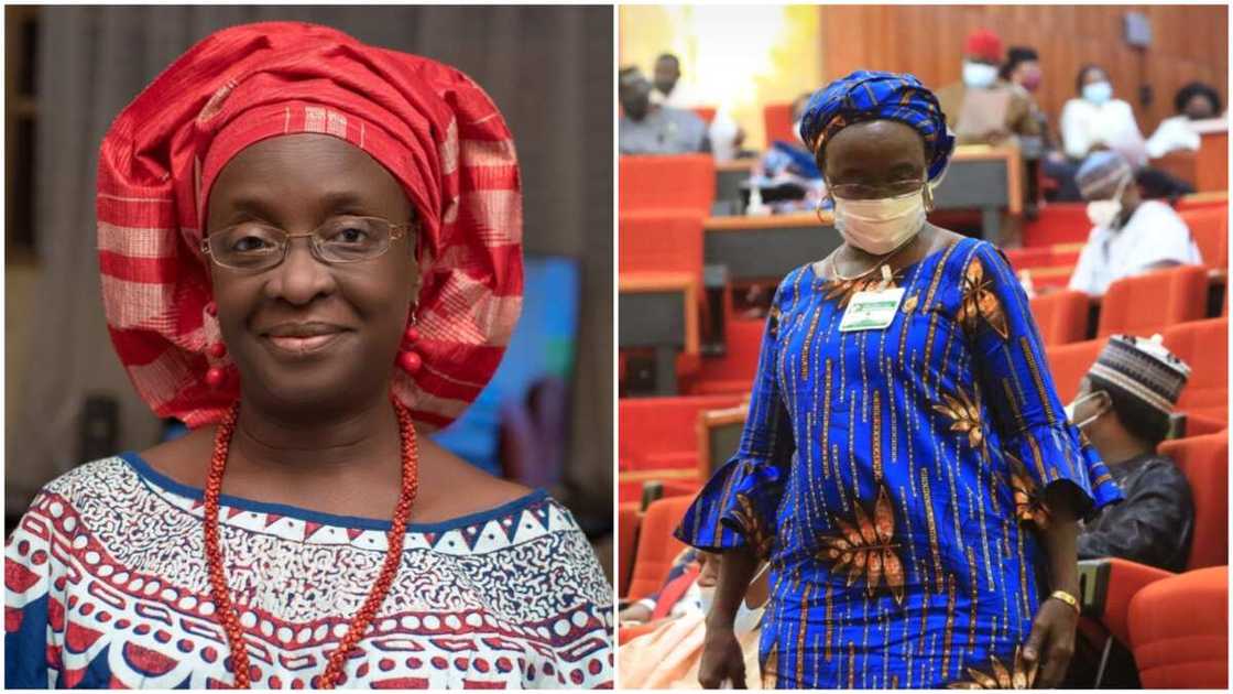 APC Wins as Tribunal Gives Verdict on Senatorial By-Election Petition in Plateau APC Wins as Tribunal Gives Verdict on Senatorial By-Election Petition in Plateau