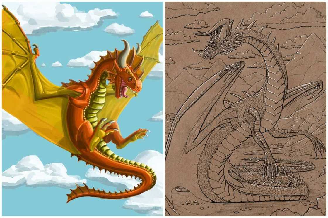 Dragon species Dragon species