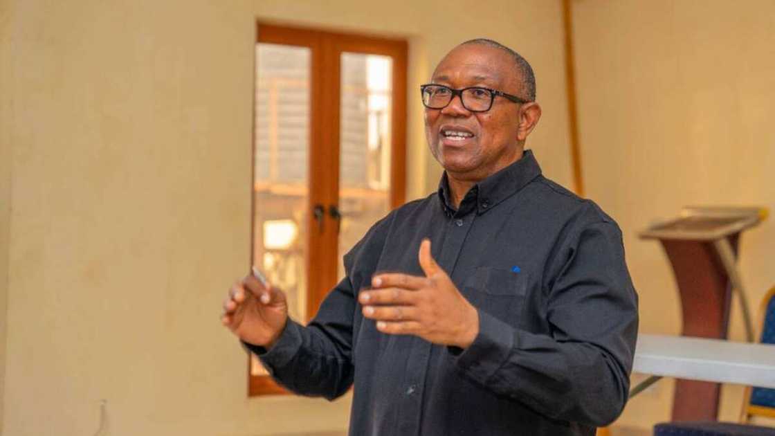 Peter Obi/Labour Party Crisis