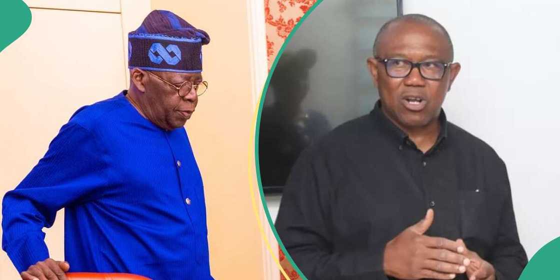 Peter Obi/Peter Obi news/Peter Obi news today/Bola Tinubu/Latest about Bola Tinubu