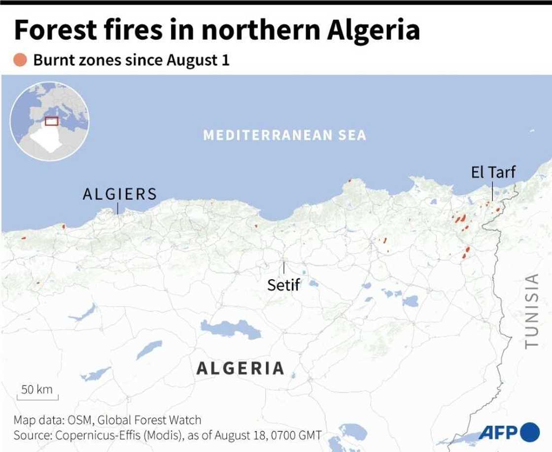 Forest fires in northern Algeria Forest fires in northern Algeria