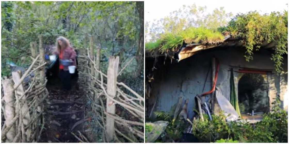 They all left home: 4 weird individuals who abandoned their cozy homes to live in the wild with no light and internet They all left home: 4 weird individuals who abandoned their cozy homes to live in the wild with no light and internet
