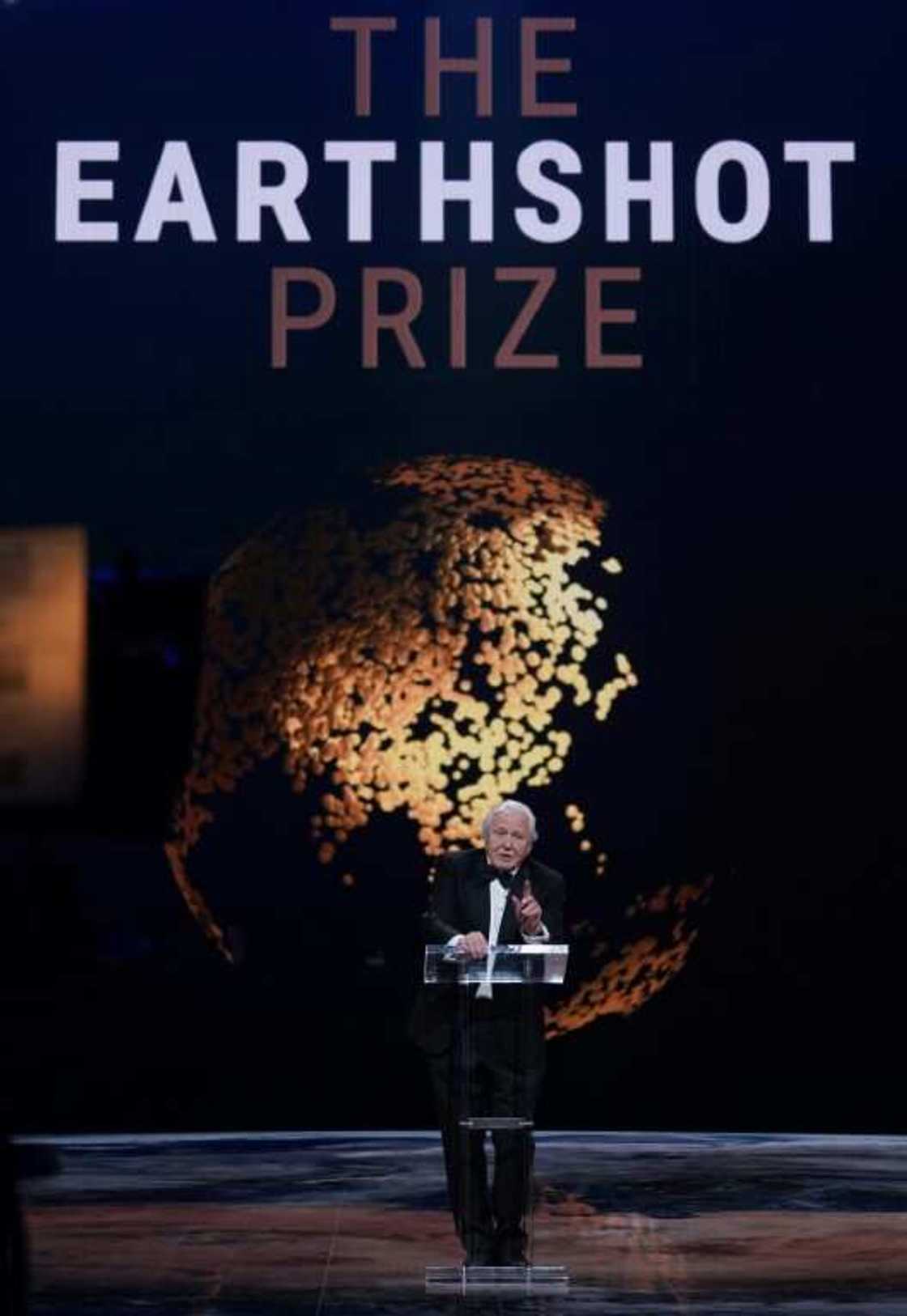 Naturalist David Attenborough is one of the speakers at the second edition of William's Earthshot Prize against climate change on Friday