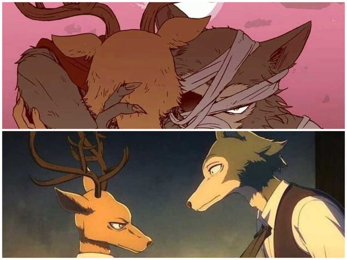 Louis et Legoshi de Beastars Louis et Legoshi de Beastars