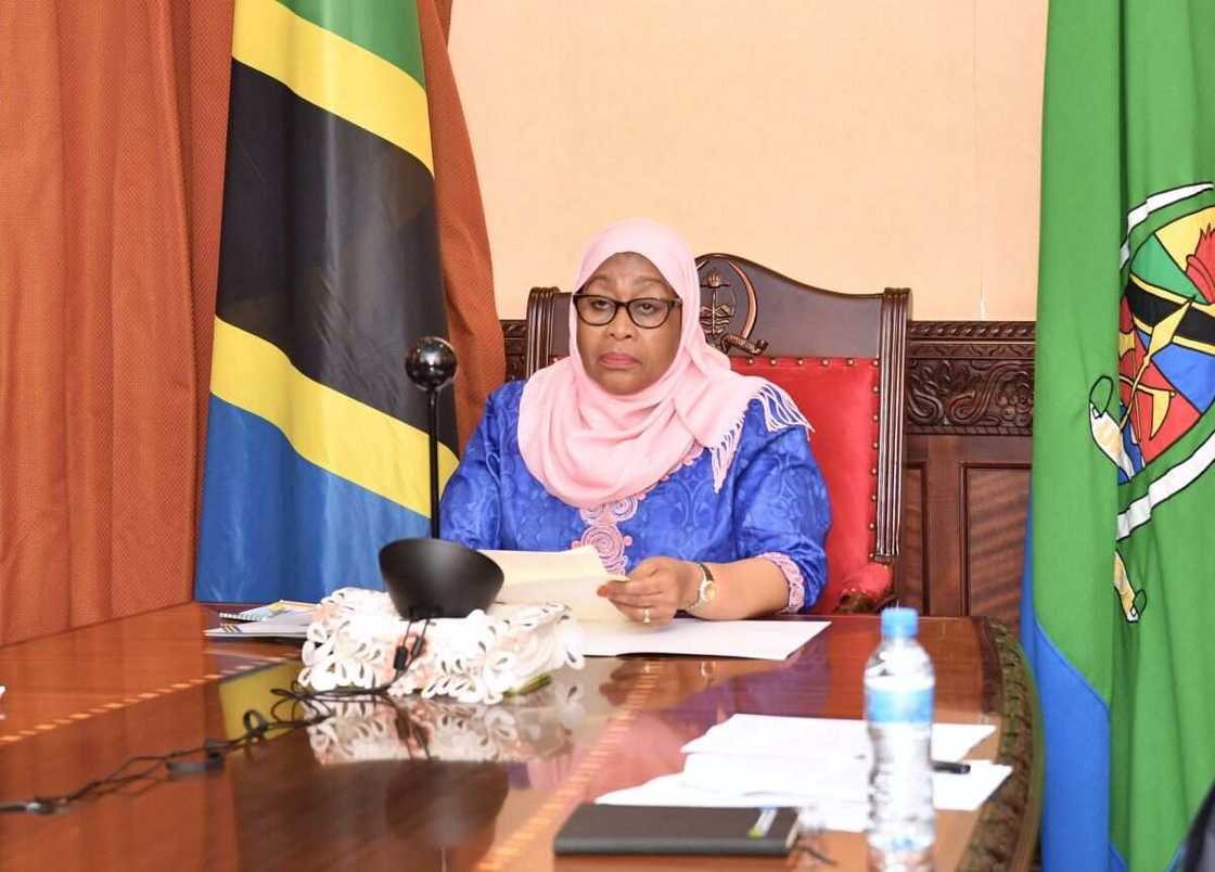 Tanzania, children's education, building school block, Independence Day in Tanzania