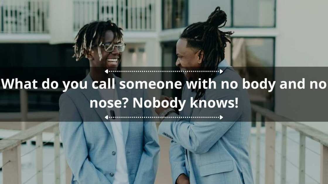 Stupid jokes Stupid jokes