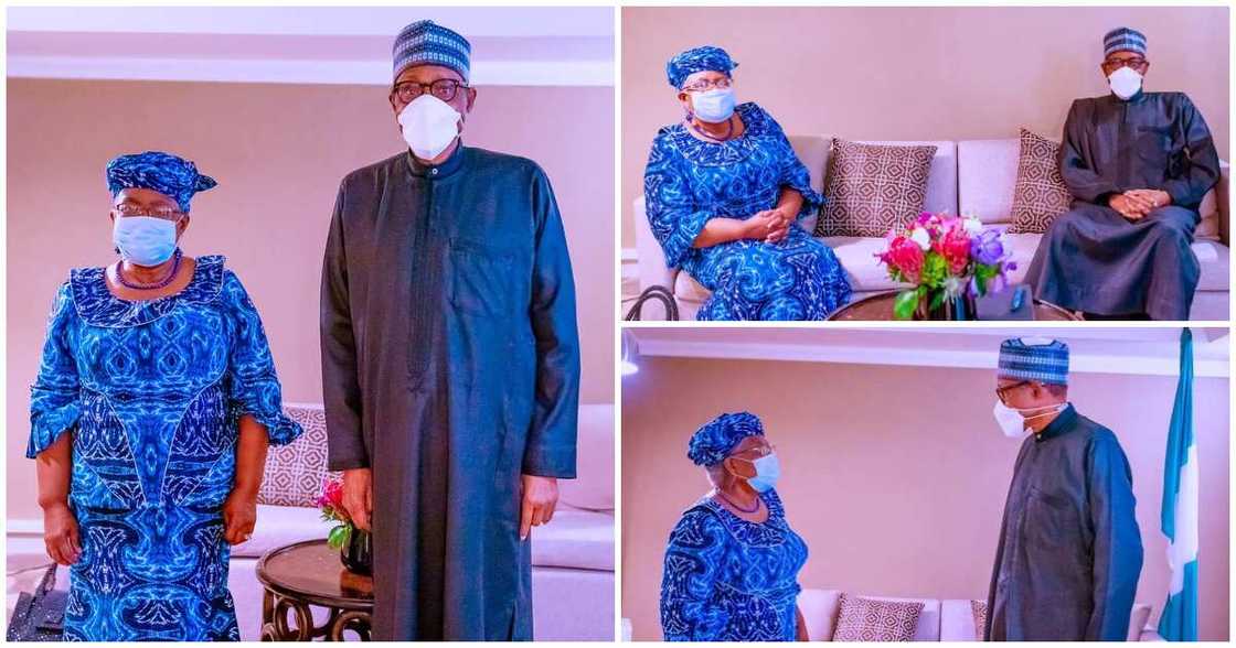 President Buhari meets Okonjo-Iweala