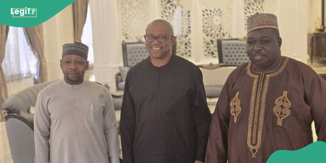 The APC's Zaura and presidential hopeful Peter Obi meet in Abuja.