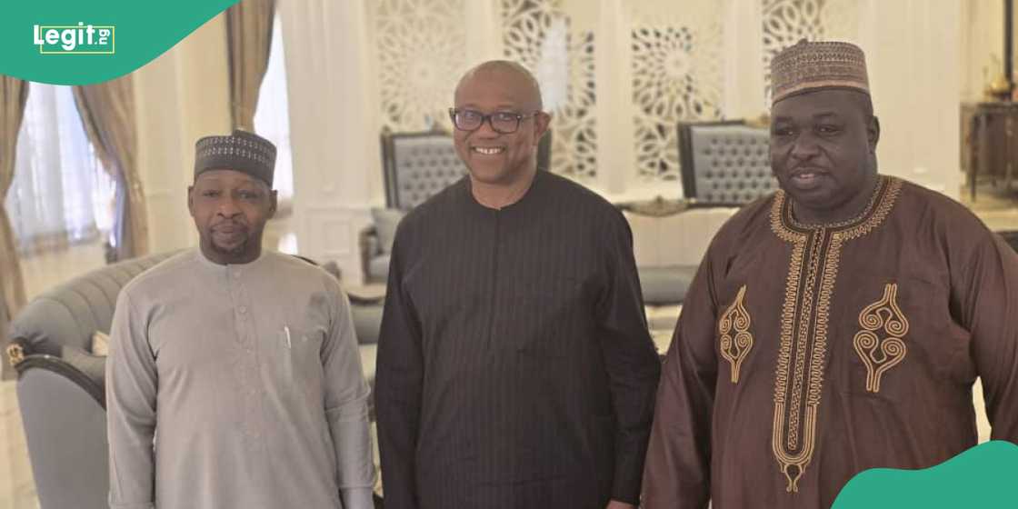 The APC's Zaura and presidential hopeful Peter Obi meet in Abuja. The APC's Zaura and presidential hopeful Peter Obi meet in Abuja.