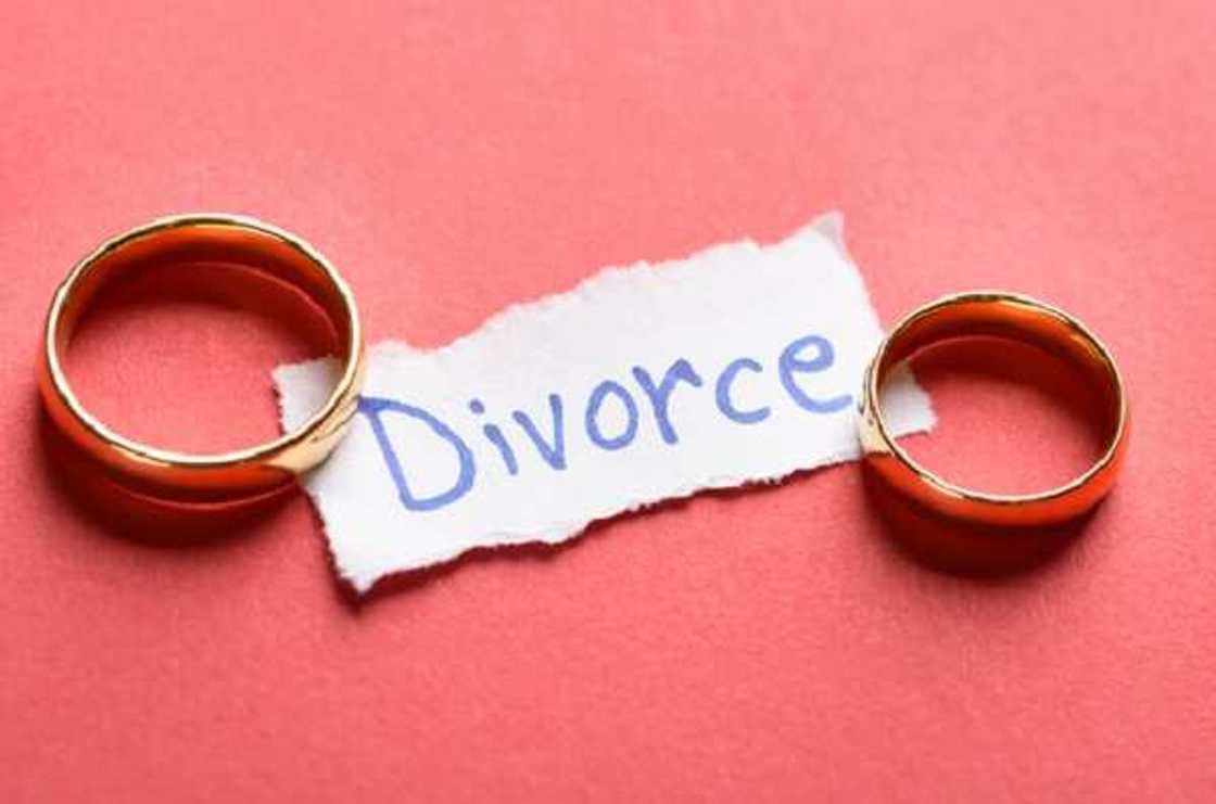 Nema saki a Kotu. Nema saki a Kotu.