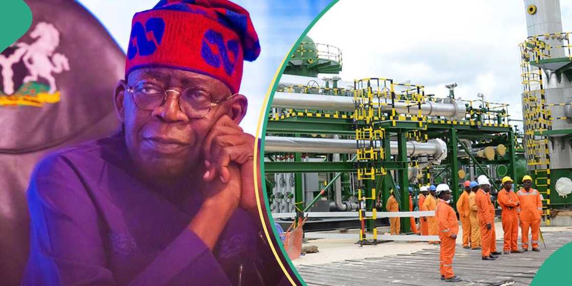 President Bola Tinubu has ended the 30 per cent management fee collected by NNPC Limited on Profit Oil and Profit Gas in production sharing contracts. President Bola Tinubu has ended the 30 per cent management fee collected by NNPC Limited on Profit Oil and Profit Gas in production sharing contracts.