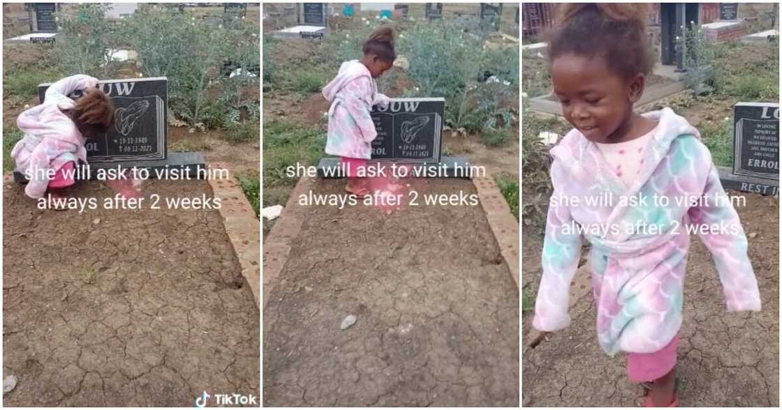 Late dad's grave, little girl, kid talks to her dad's grave, touching kids videos