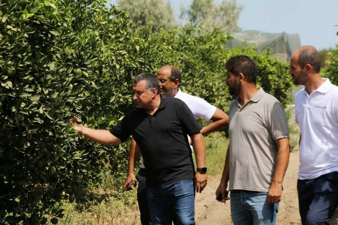 Yassine Gargouri (L), a farmer who hired the RoboCare startup company, checks his citrus trees in the region of Nabeul, Tunisia Yassine Gargouri (L), a farmer who hired the RoboCare startup company, checks his citrus trees in the region of Nabeul, Tunisia