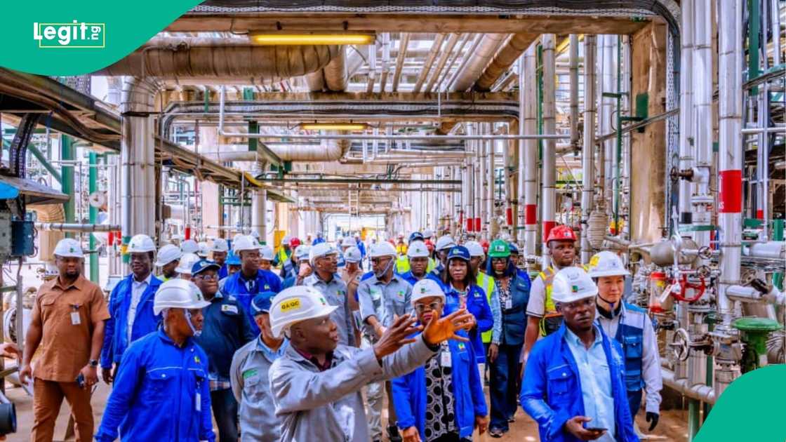 Port Harcourt Refinery management issues a warning to staff as 30-day maintenance kicks off at the facility. Port Harcourt Refinery management issues a warning to staff as 30-day maintenance kicks off at the facility.