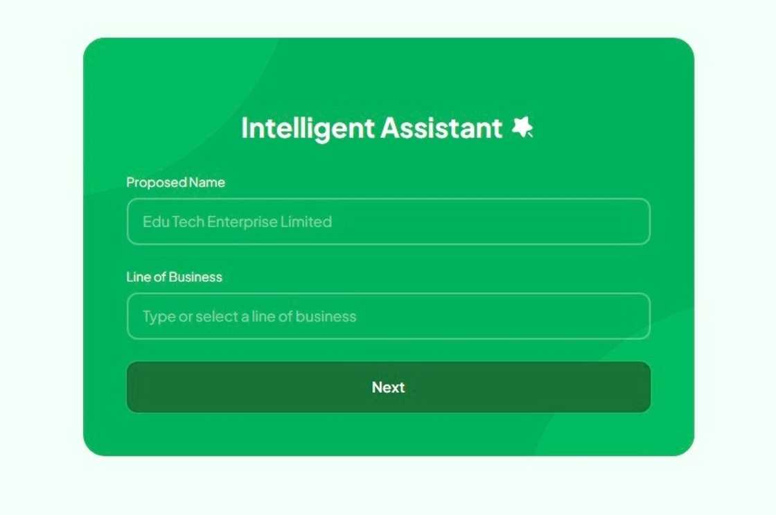 A screenshot of the CAC Intelligent Business Name Generator