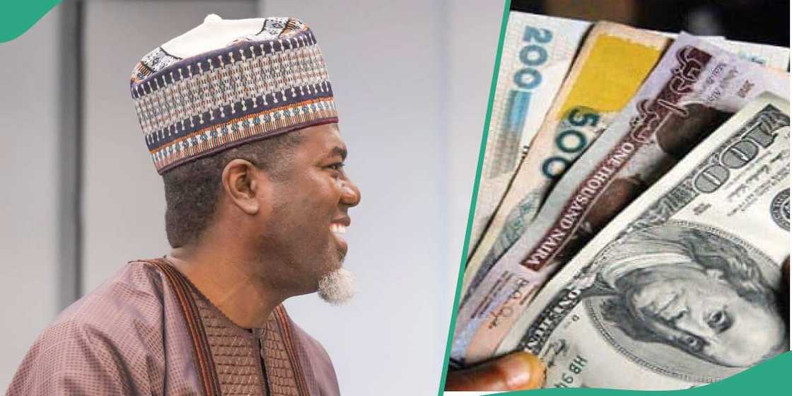 Reno Omokri happy as naira sustains rebound