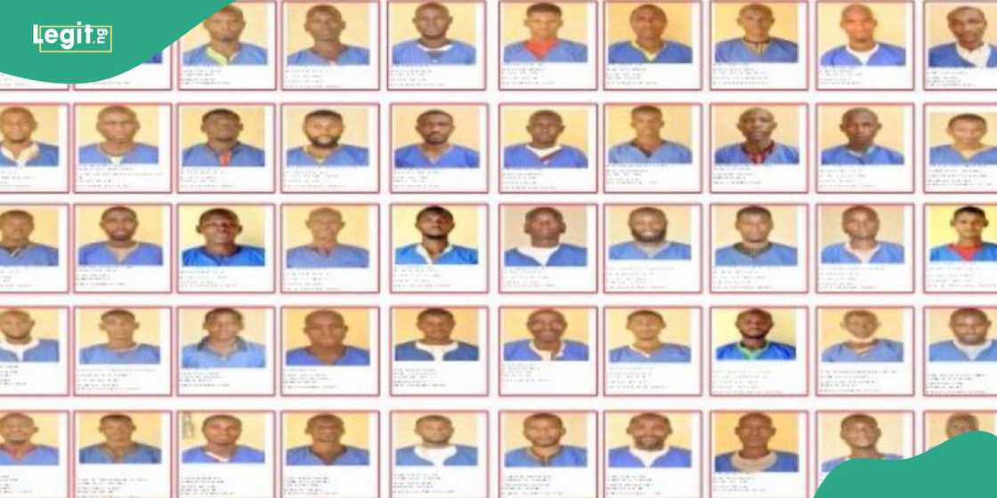 FG releases identities of escapees of Maiduguri prison FG releases identities of escapees of Maiduguri prison