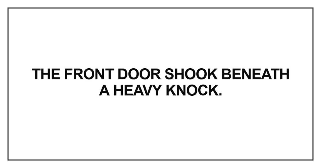 The front door shook beneath a heavy knock