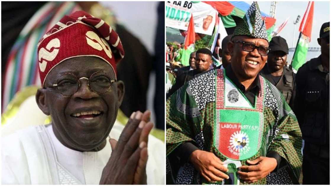 Tinubu and Peter Obi/Stears Poll/2023 Presidential Election Tinubu and Peter Obi/Stears Poll/2023 Presidential Election