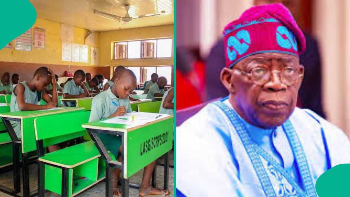 Nigeria’s new school curriculum introduces digital literacy, coding, and entrepreneurship as core subjects for Junior Secondary students. Nigeria’s new school curriculum introduces digital literacy, coding, and entrepreneurship as core subjects for Junior Secondary students.