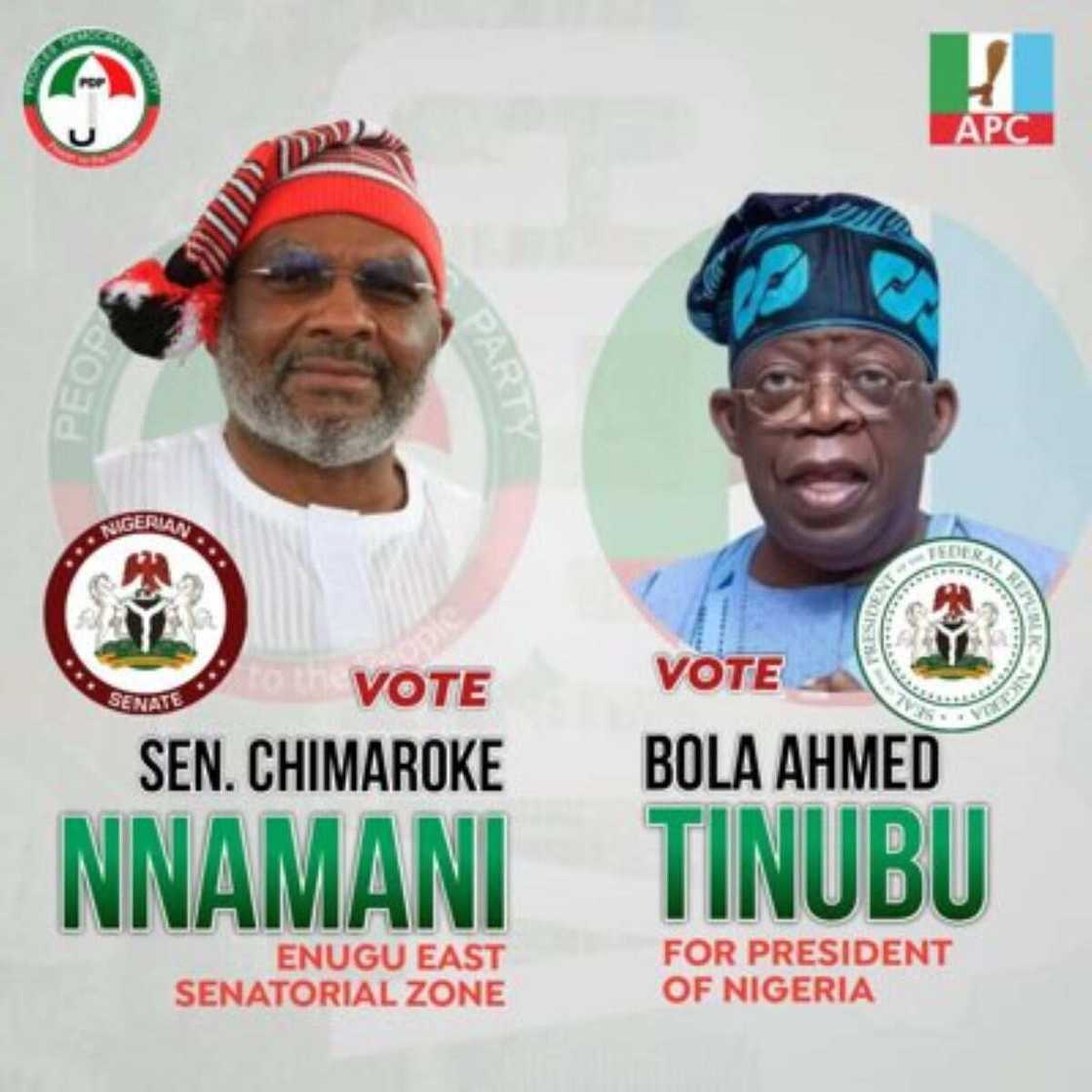 Chimaroke Nnamani, PDP, APC, Bola Tinubu, 2023 general elections