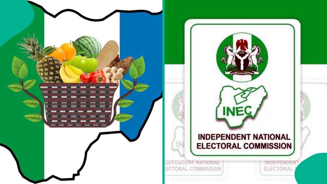 NNPP’s presidential hopeful has been left off INEC’s final candidate list. NNPP’s presidential hopeful has been left off INEC’s final candidate list.