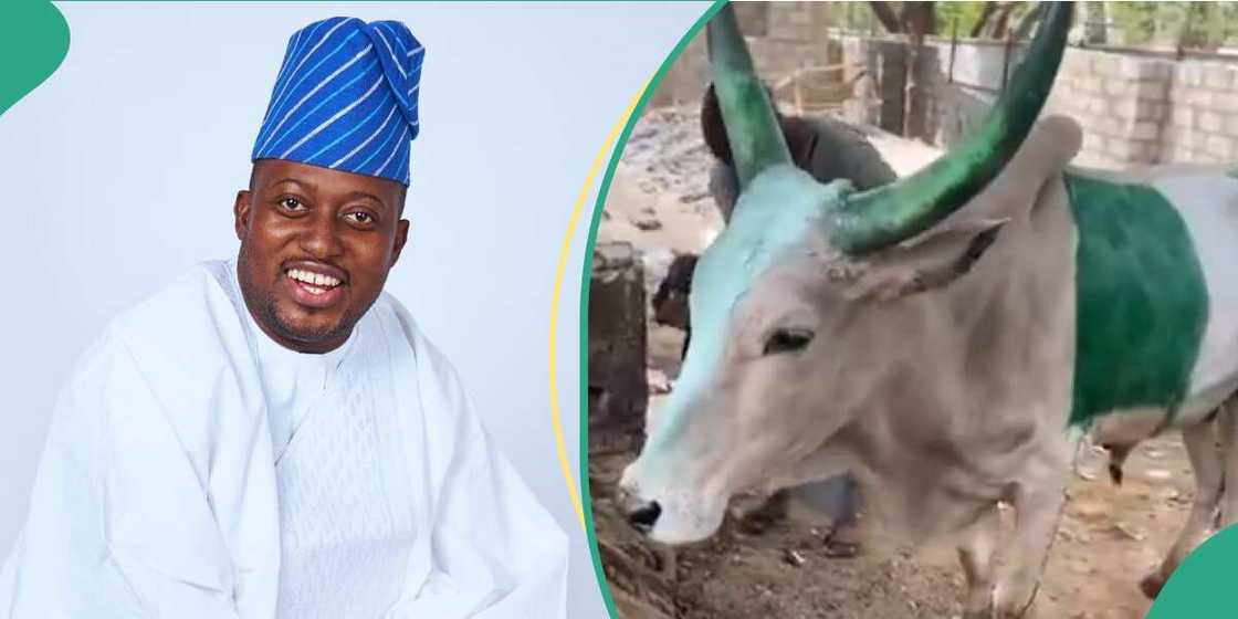 Dayo Israel ya shirya liyafar karfafa guiwar tawagar Najeriya. Dayo Israel ya shirya liyafar karfafa guiwar tawagar Najeriya.