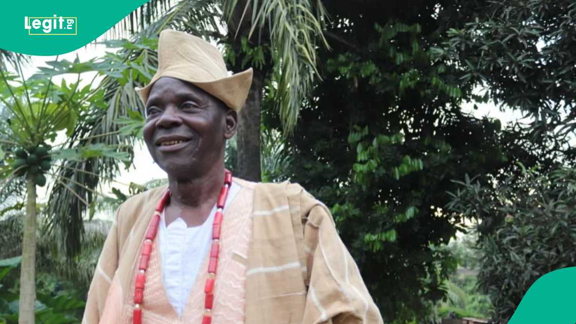 Chief Alabi Ogundepo, Nollywood, actor, Ogogo