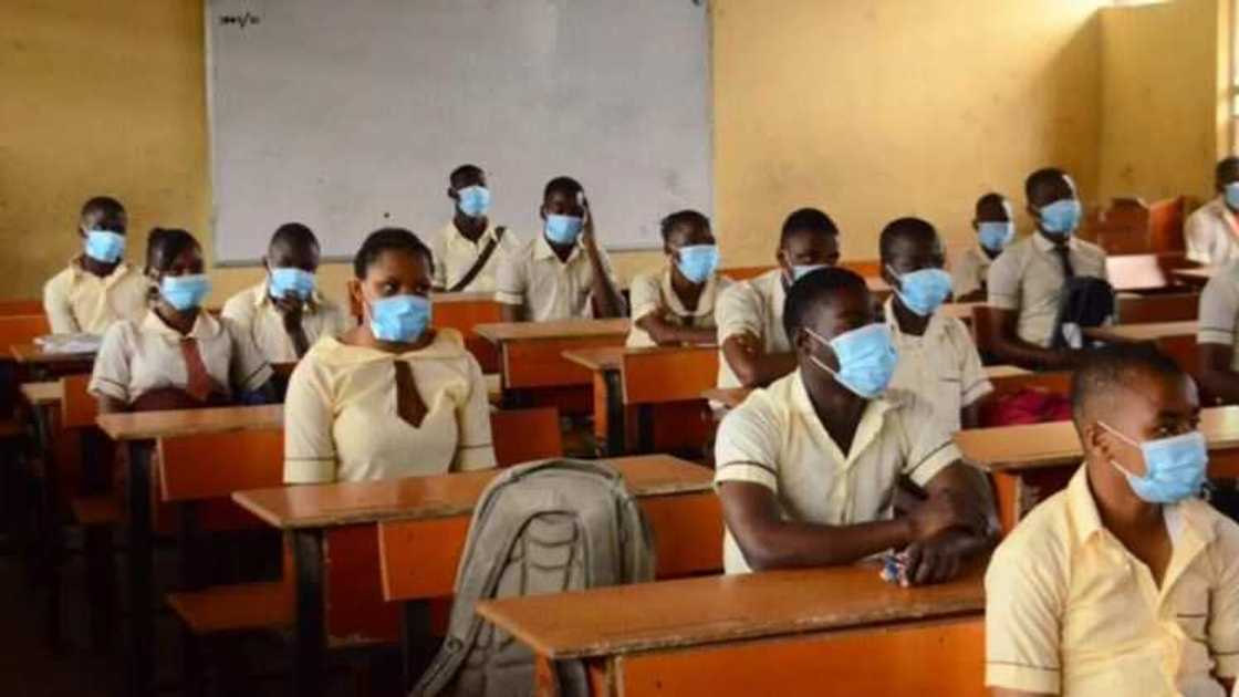 Dalibai a Abuja Dalibai a Abuja