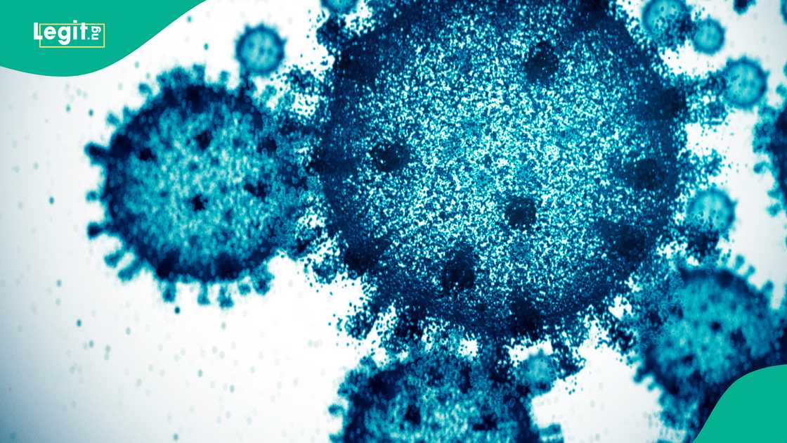 CIA's new assessment suggests that Covid-19 is "more likely" to have leaked from a Chinese lab than to have come from animals CIA's new assessment suggests that Covid-19 is "more likely" to have leaked from a Chinese lab than to have come from animals