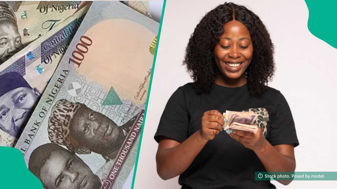 Market analysts gives new naira prediction trend