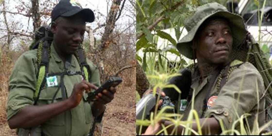 Bayan ceton rayukan giwaye a Bauchi, UK ta gwangwaje 'Dan Najeriya da kyautar N16m Bayan ceton rayukan giwaye a Bauchi, UK ta gwangwaje 'Dan Najeriya da kyautar N16m