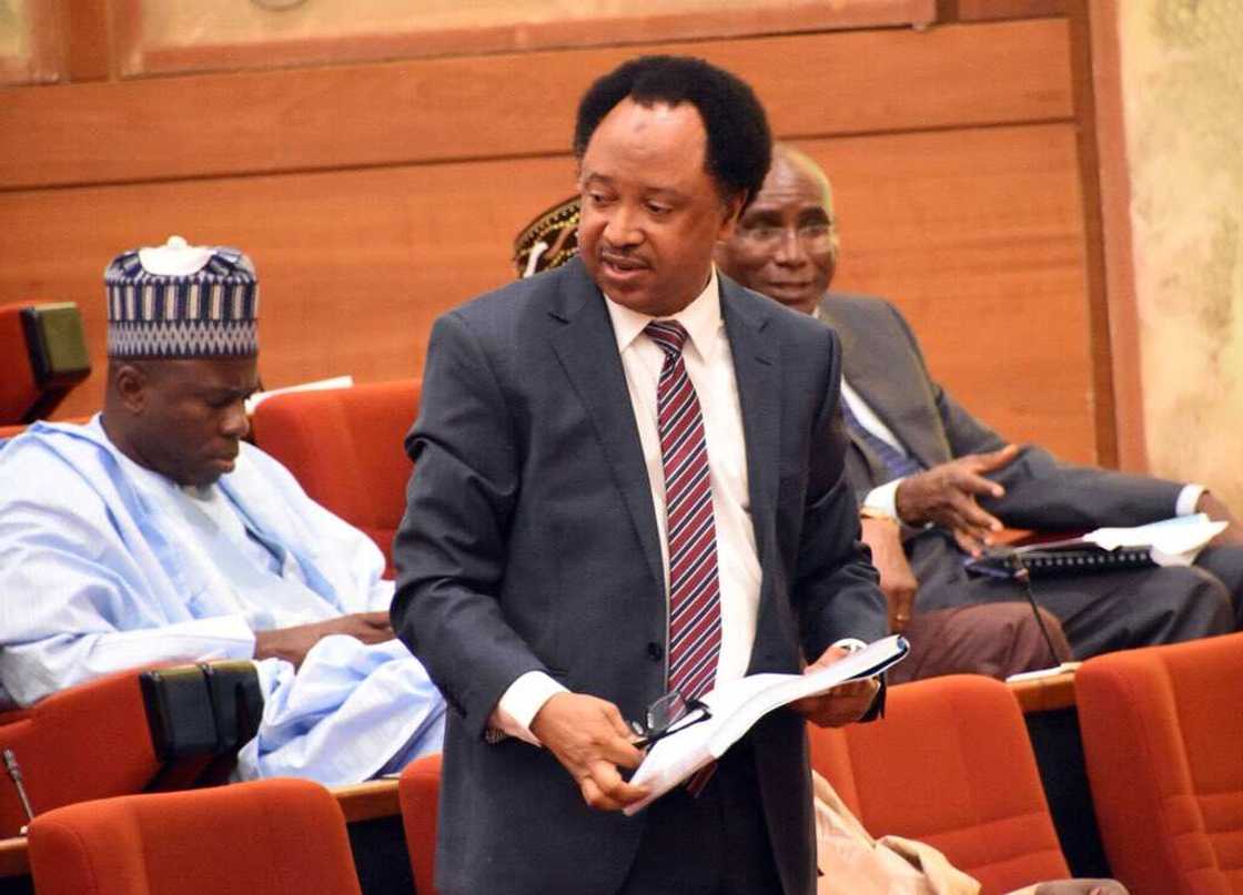 Ana bukatanku a filin daga, ba akan 'Black Friday' ba, Shehu Sani ya caccaki Hisbah a Kano Ana bukatanku a filin daga, ba akan 'Black Friday' ba, Shehu Sani ya caccaki Hisbah a Kano