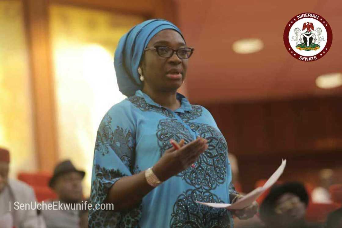 Anambra 2021: PDP female aspirant reveals why Anambrarians need her to become governor Anambra 2021: PDP female aspirant reveals why Anambrarians need her to become governor